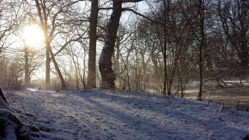 winter sol landscape