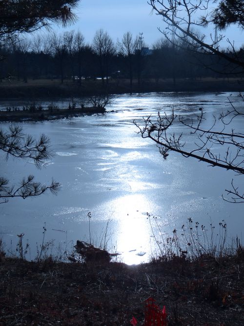 Winter At The Lake