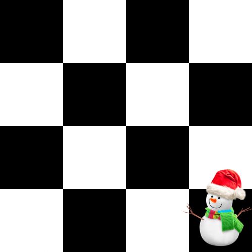 Winter Checkerboard