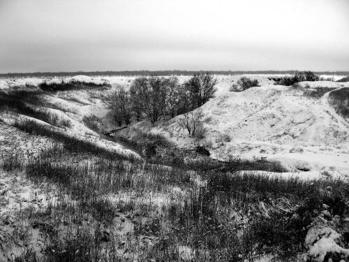 winter day nature winter forest