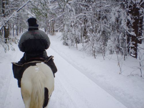 Winter Horseback Riding