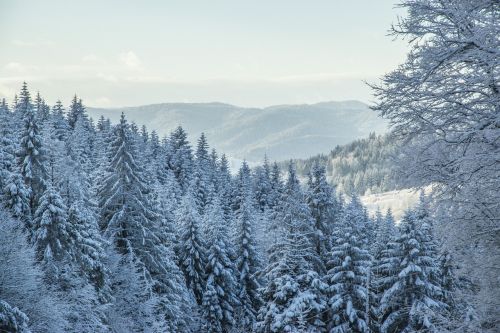 winter in the mountains beskids krynica