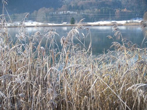 winter lake wintry frozen