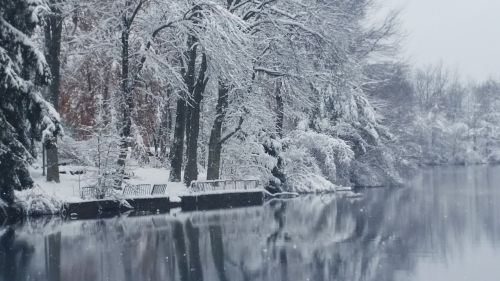 Winter Lake Snow