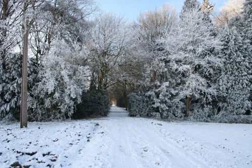 winter landscape christmas picture winter scene