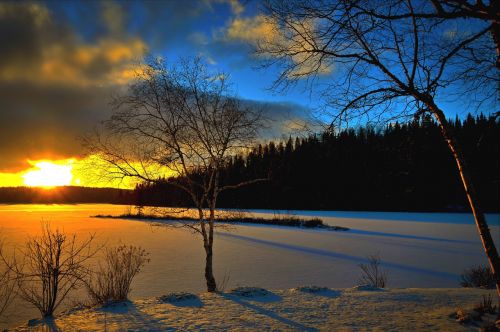 winter landscape sunset trees