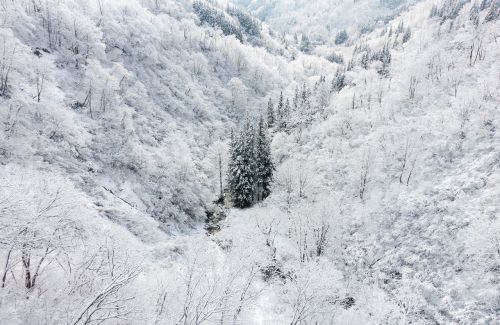 winter landscape valley winter
