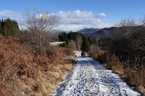 winter landscape landscape mountain