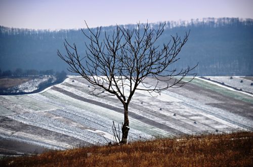 winter landscape nature walk