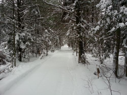 Winter Landscape