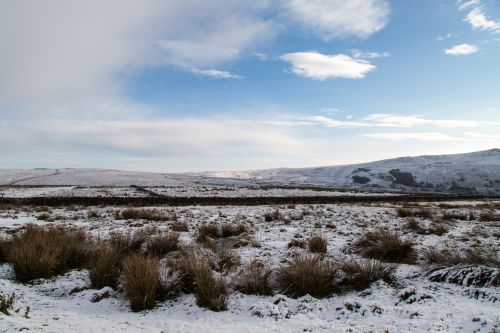 Winter Landscape