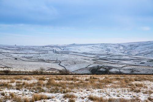 Winter Landscape