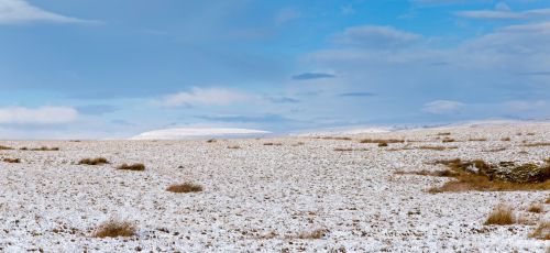 Winter Landscape