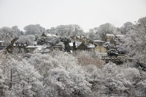 Winter Landscape