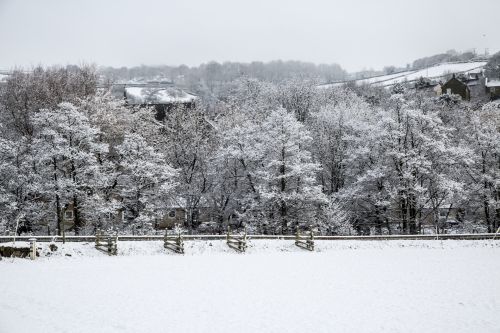 Winter Landscape