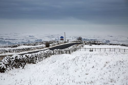 Winter Landscape