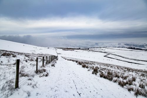 Winter Landscape