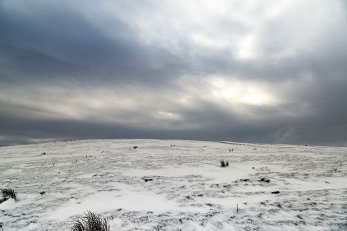 Winter Landscape