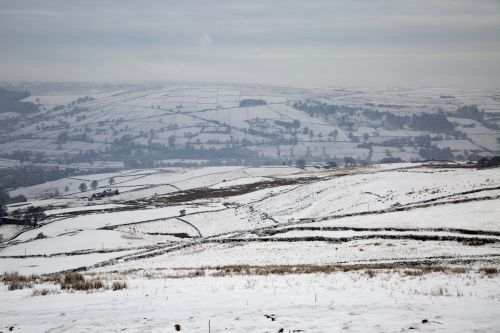 Winter Landscape