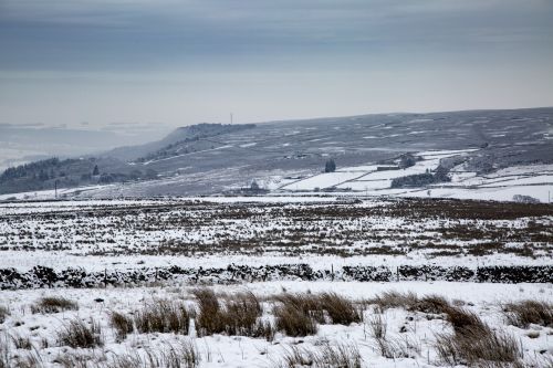 Winter Landscape