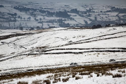 Winter Landscape