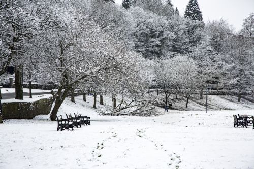 Winter Landscape