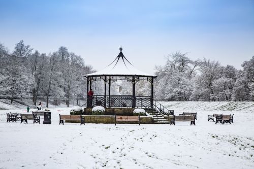 Winter Landscape