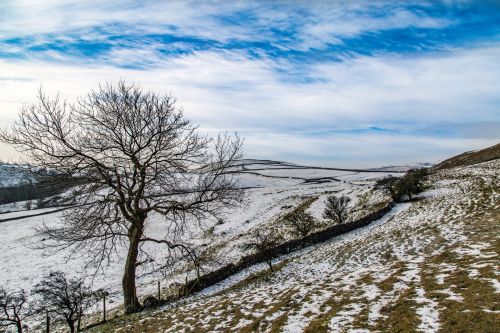 Winter Landscape