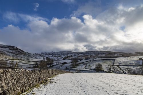 Winter Landscape