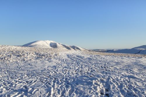 Winter Landscape