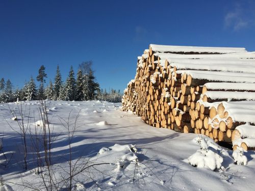 winter landscape finland felled trees