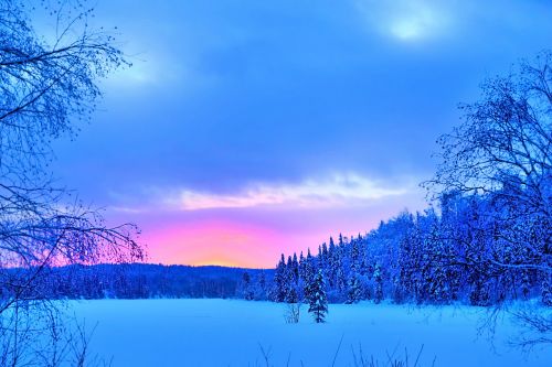 winter landscape snow forest