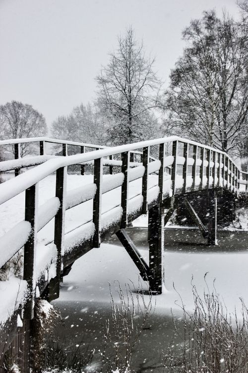 winter landscape snow nature