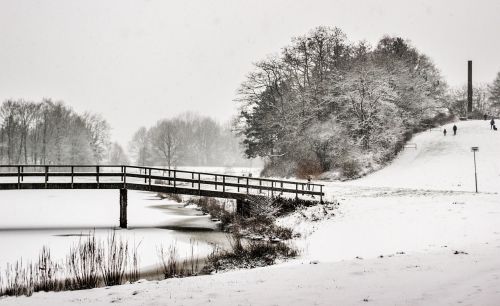 winter landscape snow nature