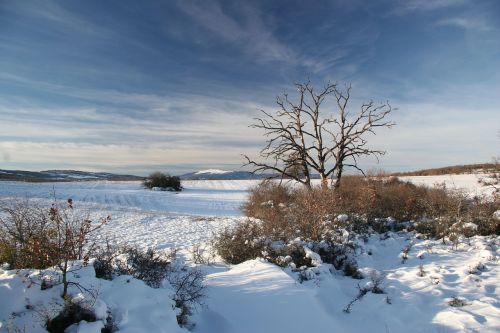 winter landscape snow nature