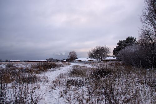 winter landscape snow winter