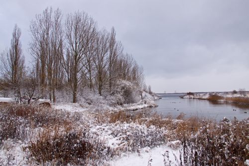 winter landscape winter snow