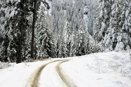 winter landscape snow fairy-tale winter
