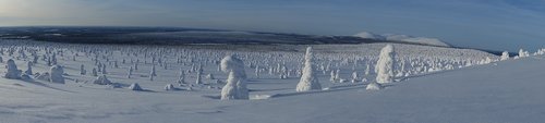 winter landscape  fell  landscape