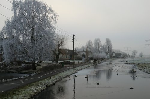 winter landscape  winter  polder