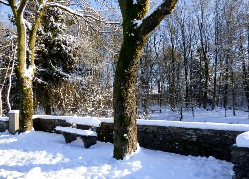 winter landscape snow besneeuw