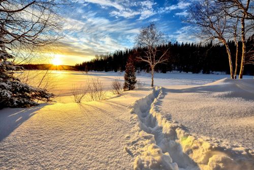 winter landscape sunset cold