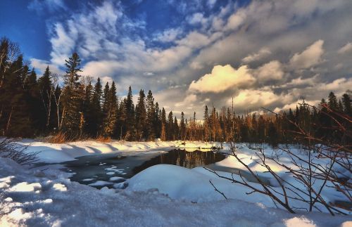 winter landscape nature trees