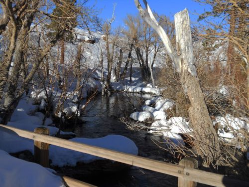 Winter Landscape, Eastern Sierras