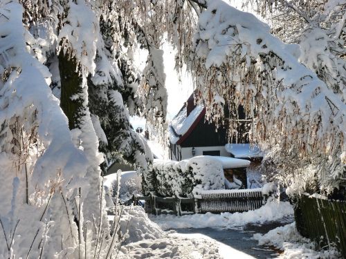winter magic romantic snow