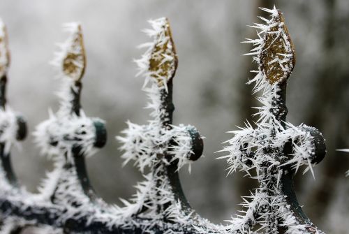 winter mood rime frost