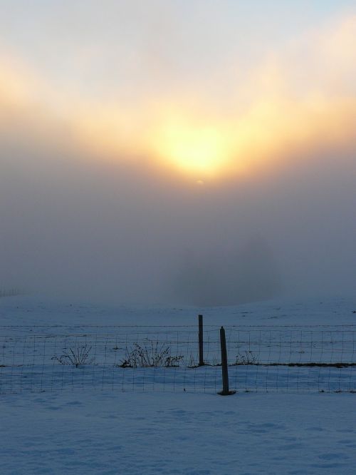 winter mood sun fog