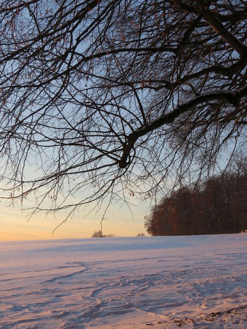 winter mood landscape winter