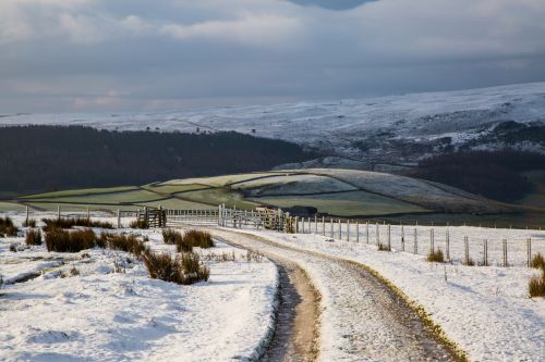 Winter Path