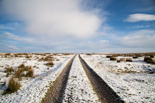 Winter Road